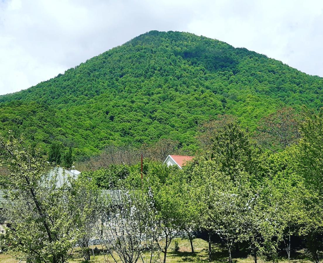 Gabala Sweet Home Buitenkant foto
