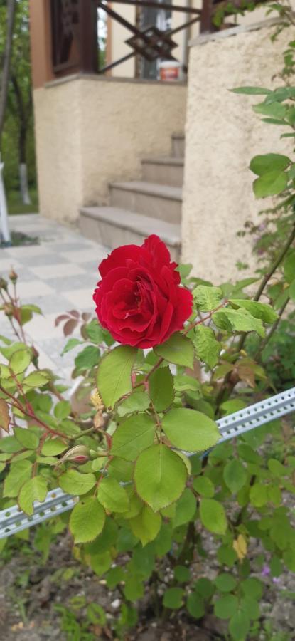 Gabala Sweet Home Buitenkant foto